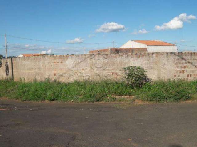 Terreno Padrão em Zacarias