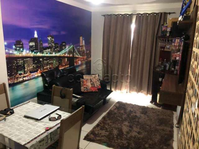 Apartamento Padrão em São José do Rio Preto