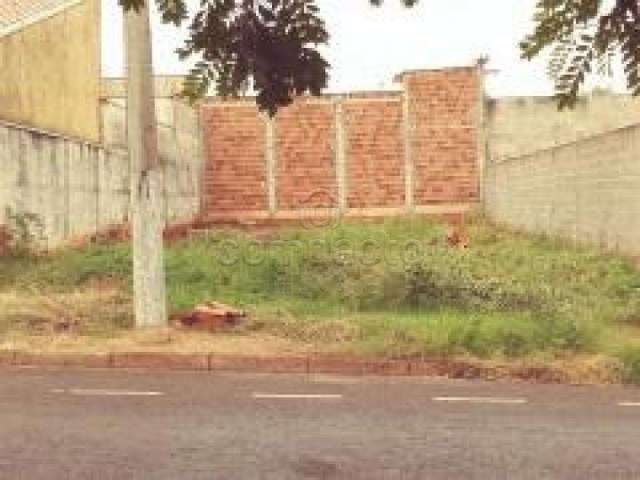 Terreno Padrão em São José do Rio Preto