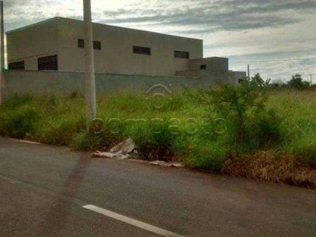 Terreno Padrão em São José do Rio Preto