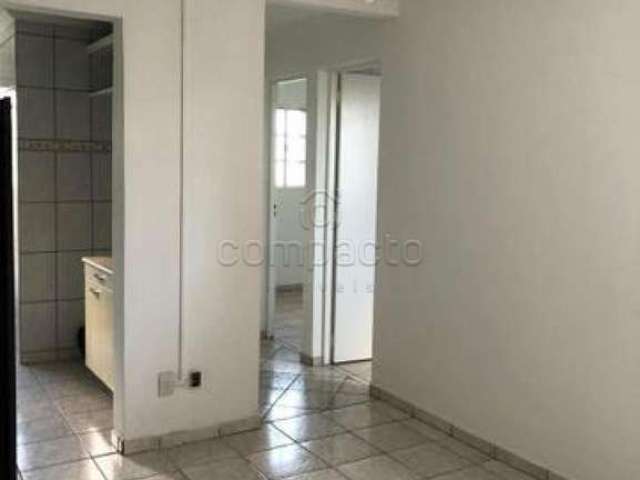 Apartamento Padrão em São José do Rio Preto