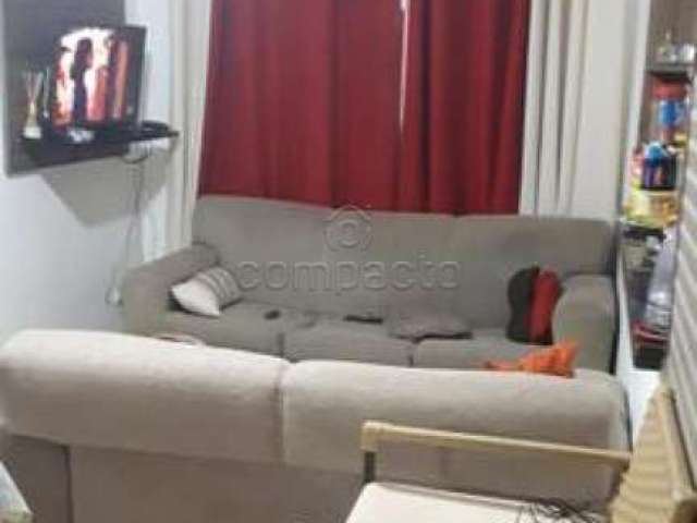 Apartamento Padrão em São José do Rio Preto