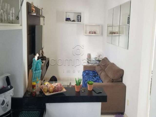 Apartamento Padrão em São José do Rio Preto