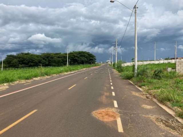 Terreno Padrão em Bady Bassitt