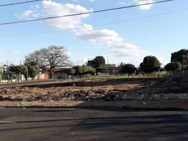 Terreno Padrão em São José do Rio Preto