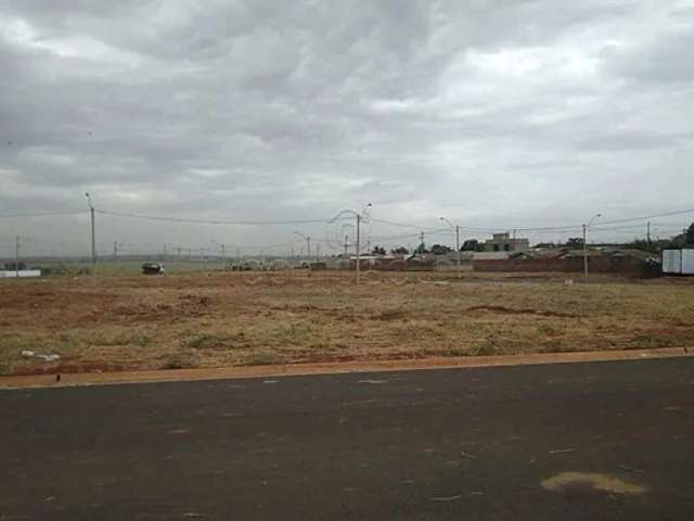 Terreno Padrão em São José do Rio Preto