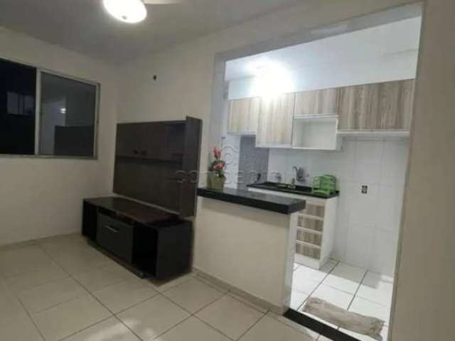 Apartamento Padrão em São José do Rio Preto