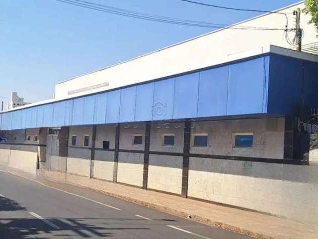 Comercial Prédio em São José do Rio Preto