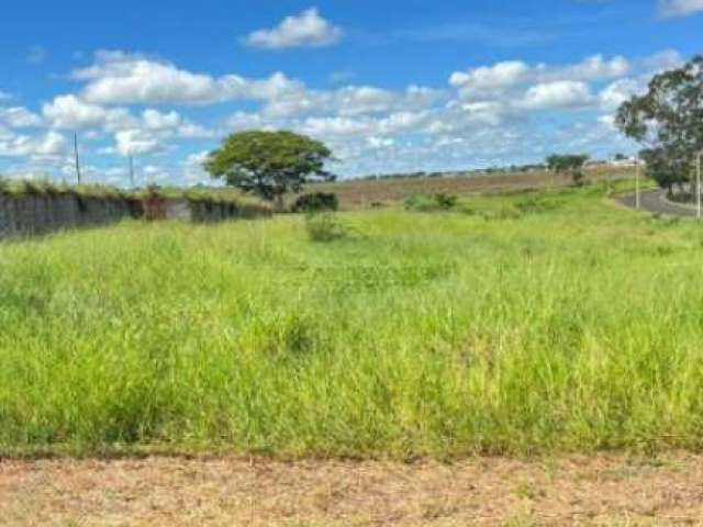 Terreno Padrão em Cedral