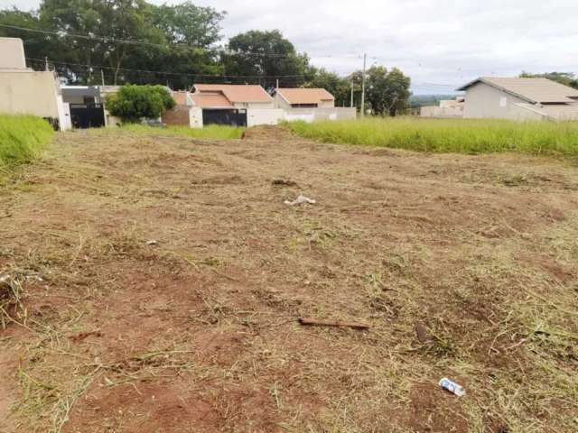 Terreno Padrão em São José do Rio Preto