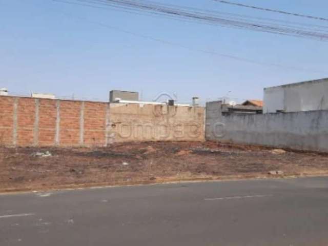 Terreno Padrão em São José do Rio Preto