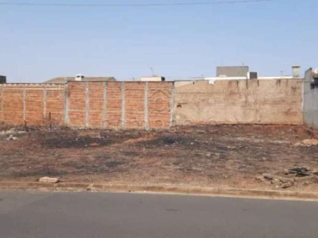 Terreno Padrão em São José do Rio Preto