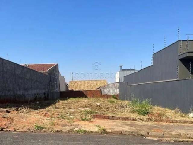 Terreno Padrão em São José do Rio Preto