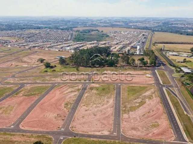 Terreno Padrão em São José do Rio Preto