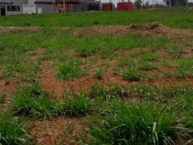 Terreno Padrão em São José do Rio Preto