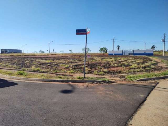 Terreno Padrão em São José do Rio Preto