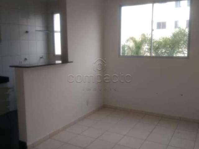 Apartamento Padrão em São José do Rio Preto