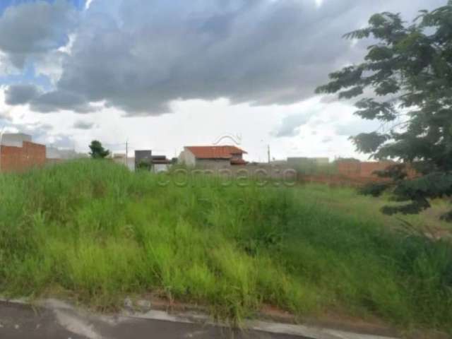 Terreno Padrão em São José do Rio Preto