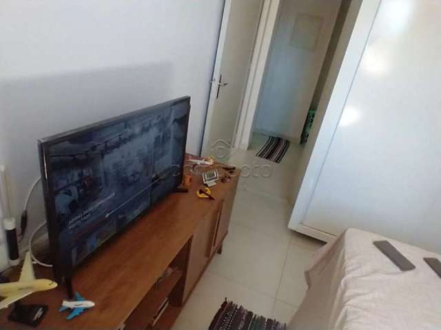 Apartamento Padrão em São José do Rio Preto