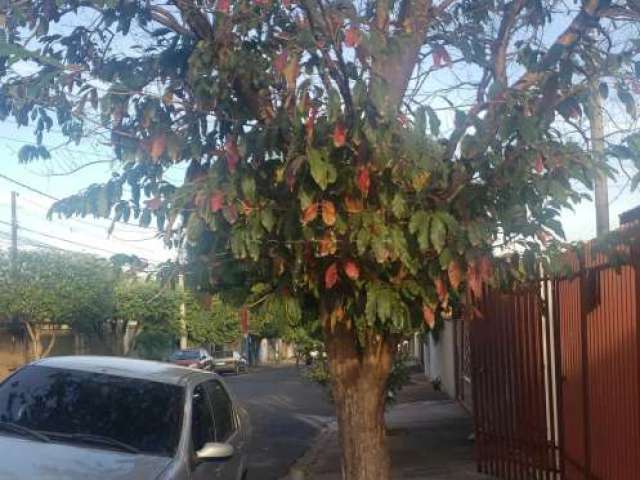 Casa Padrão em São José do Rio Preto