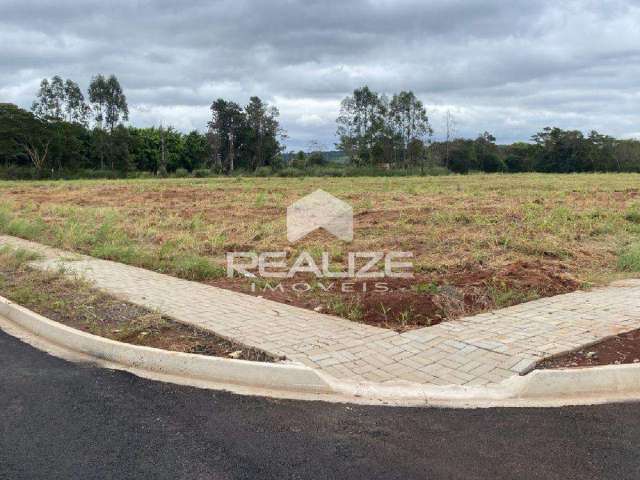 Terreno à venda no Ecoville