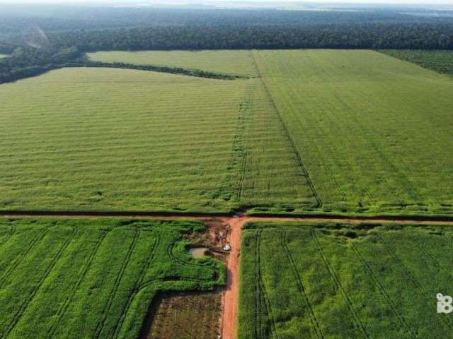 Fazenda a venda proximo a sinop mt