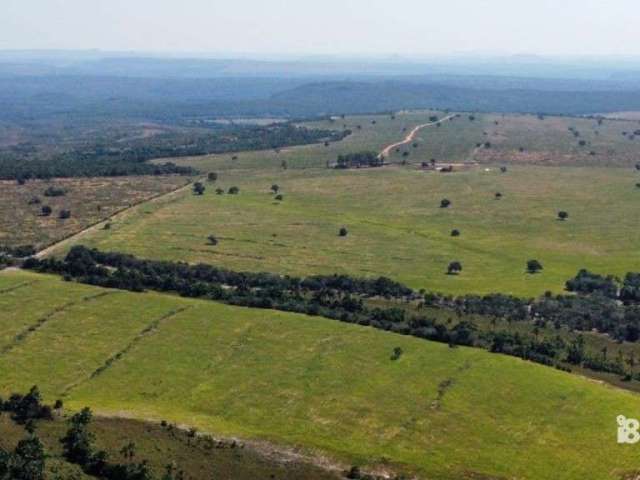 Fazenda de gado a venda