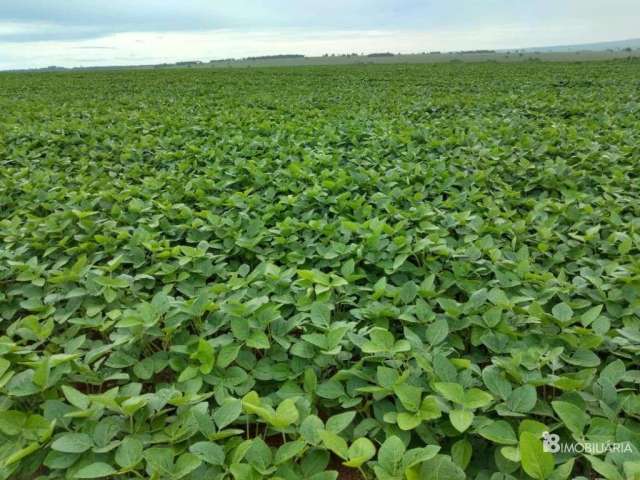 Fazenda a venda