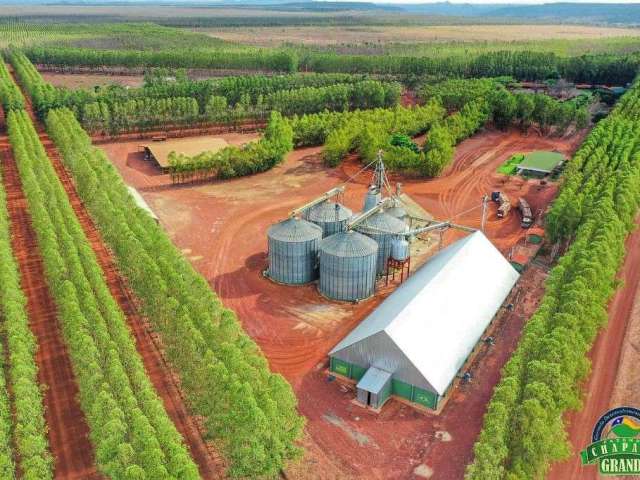 Fazenda de grande porte em piauí