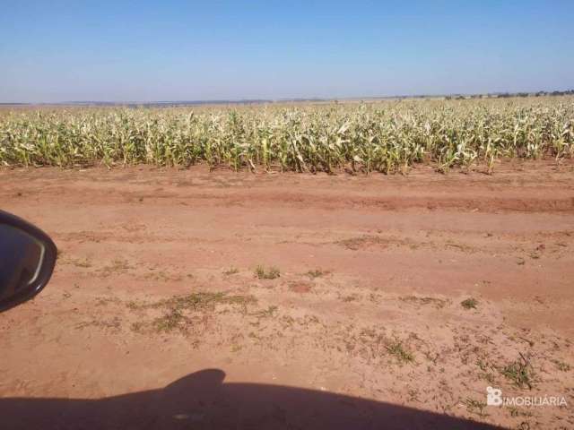 Fazenda em dourados ms