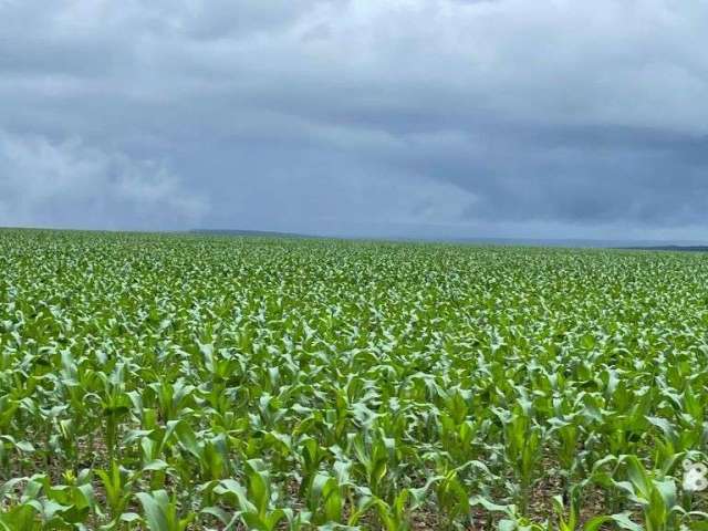 Fazenda a venda em nobres  mt