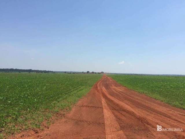 Fazenda a venda em sinop