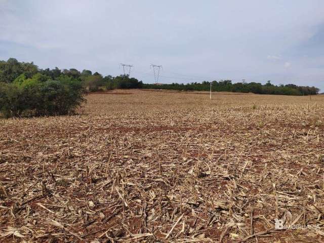 Chácara de plantio a venda