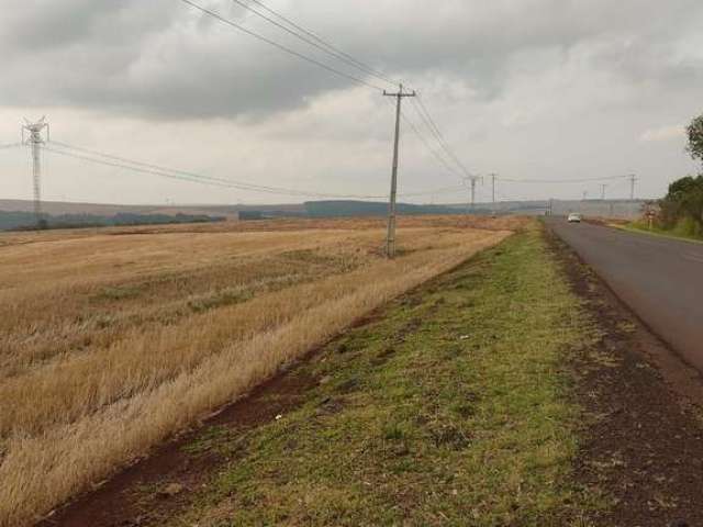 Área de plantio a venda