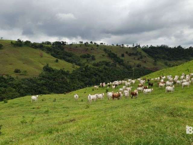 Fazenda a venda em guaraniaçu