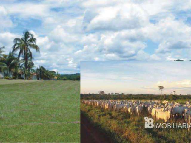 Fazenda a venda ji-parana ro