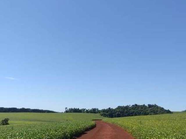 Fazenda a venda em cascavel