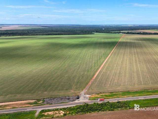 Fazenda a venda em sinop mt