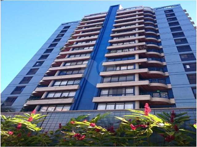 Apartamento com 3 quartos à venda em Vila Itapura - SP