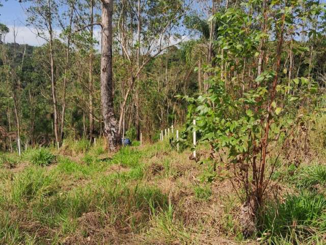 Terreno de 1000 metros Parque Florestal