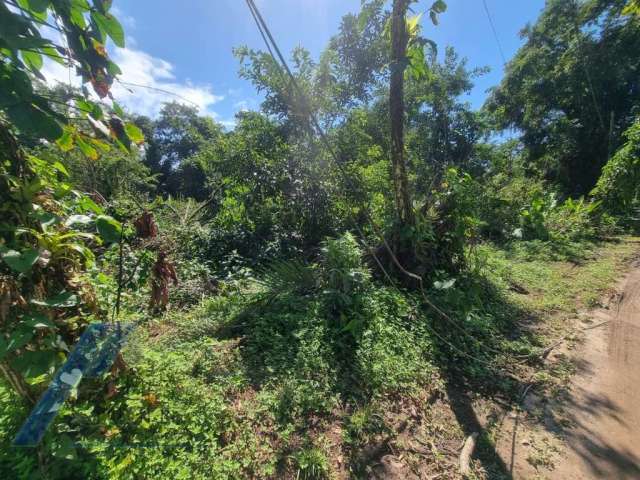 Ubatuba, Itamambuca - lote com 540,00 m2, escritura definitiva, liberação ambiental em condomínio segurança 24 hs.