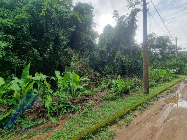 Ubatuba, Itamambuca - lote com 518,00 mts2, escritura definitiva, sem liberação ambiental em condomínio segurança 24 hs.