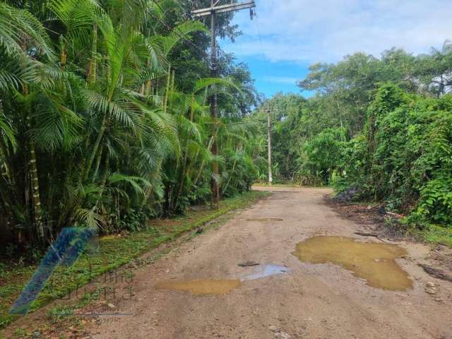 Ubatuba, Itamambuca - lote com 531,00 mts2, escritura definitiva, liberação ambiental em condomínio segurança 24 hs.