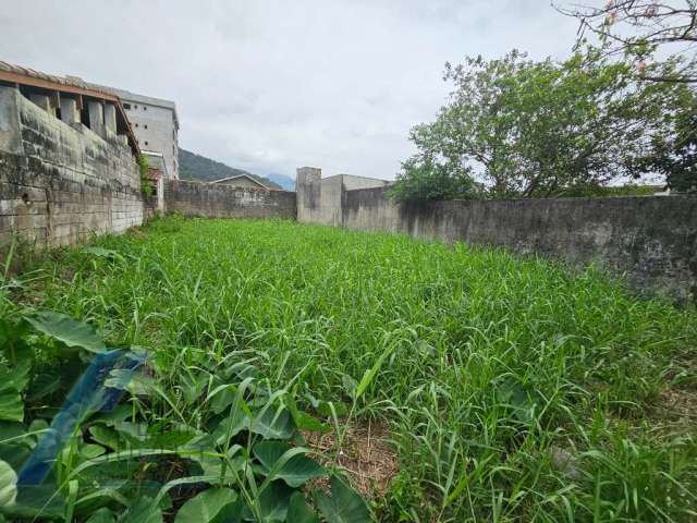 Ubatuba, Pereque-açu - Terreno aterrado e murado com 250 m2.