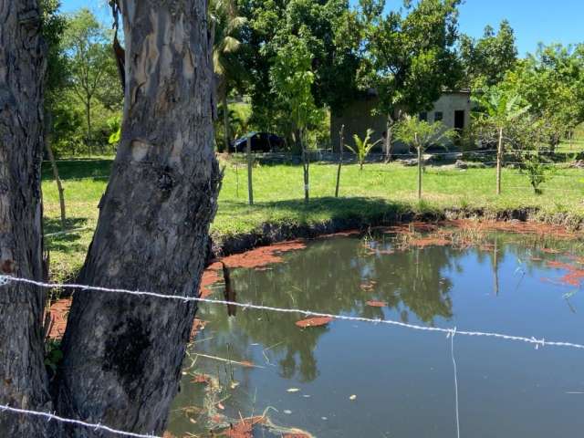 Fazenda/Sítio/Chácara para venda com 20000 metros quadrados com 3 quartos