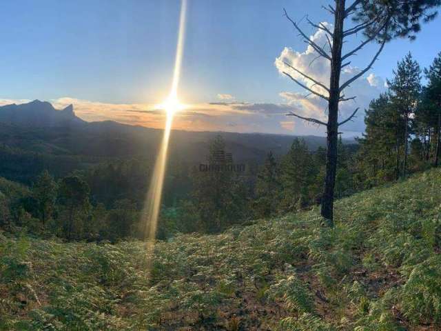 Área Rural à venda, Pedra Azul de Aracê - DOMINGOS MARTINS/ES