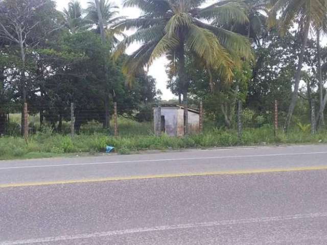 Terreno no Mosqueiro na rodovia dos náufragos, Avenida Principal