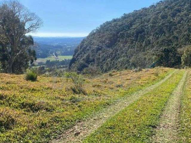 Sítio à venda no bairro Vacariano - Urubici/SC