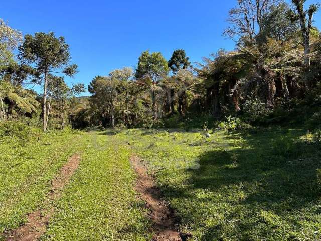 Área à venda no bairro Centro - Urubici/SC