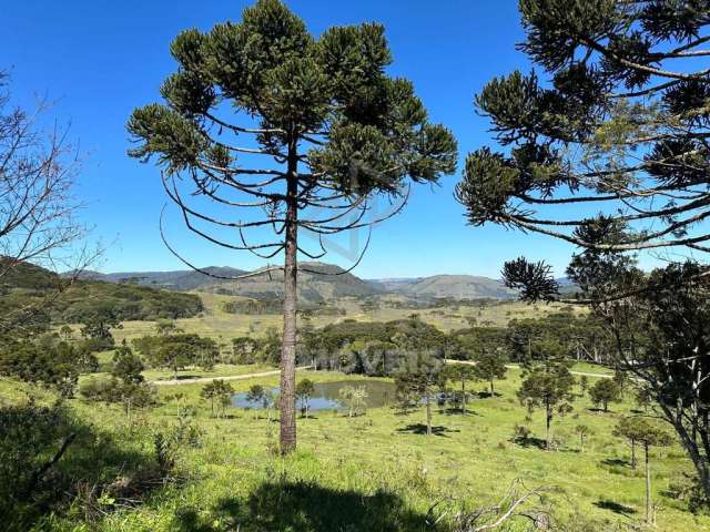 Terreno de 2 hectares